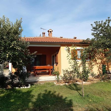 Apartman Lena Umag Dış mekan fotoğraf
