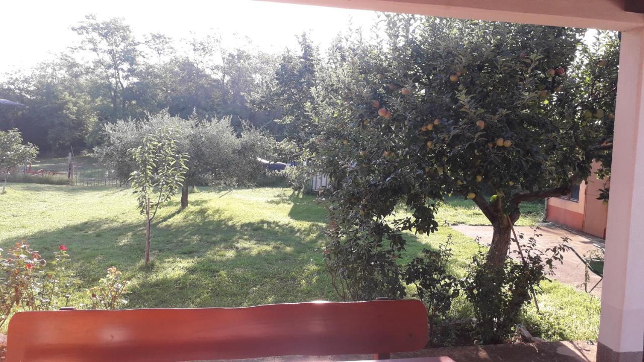Apartman Lena Umag Dış mekan fotoğraf