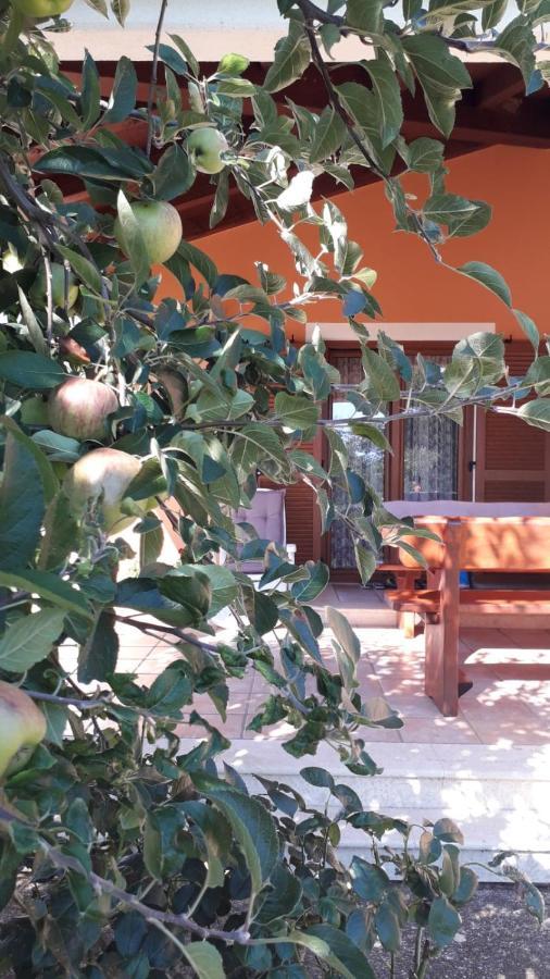 Apartman Lena Umag Dış mekan fotoğraf